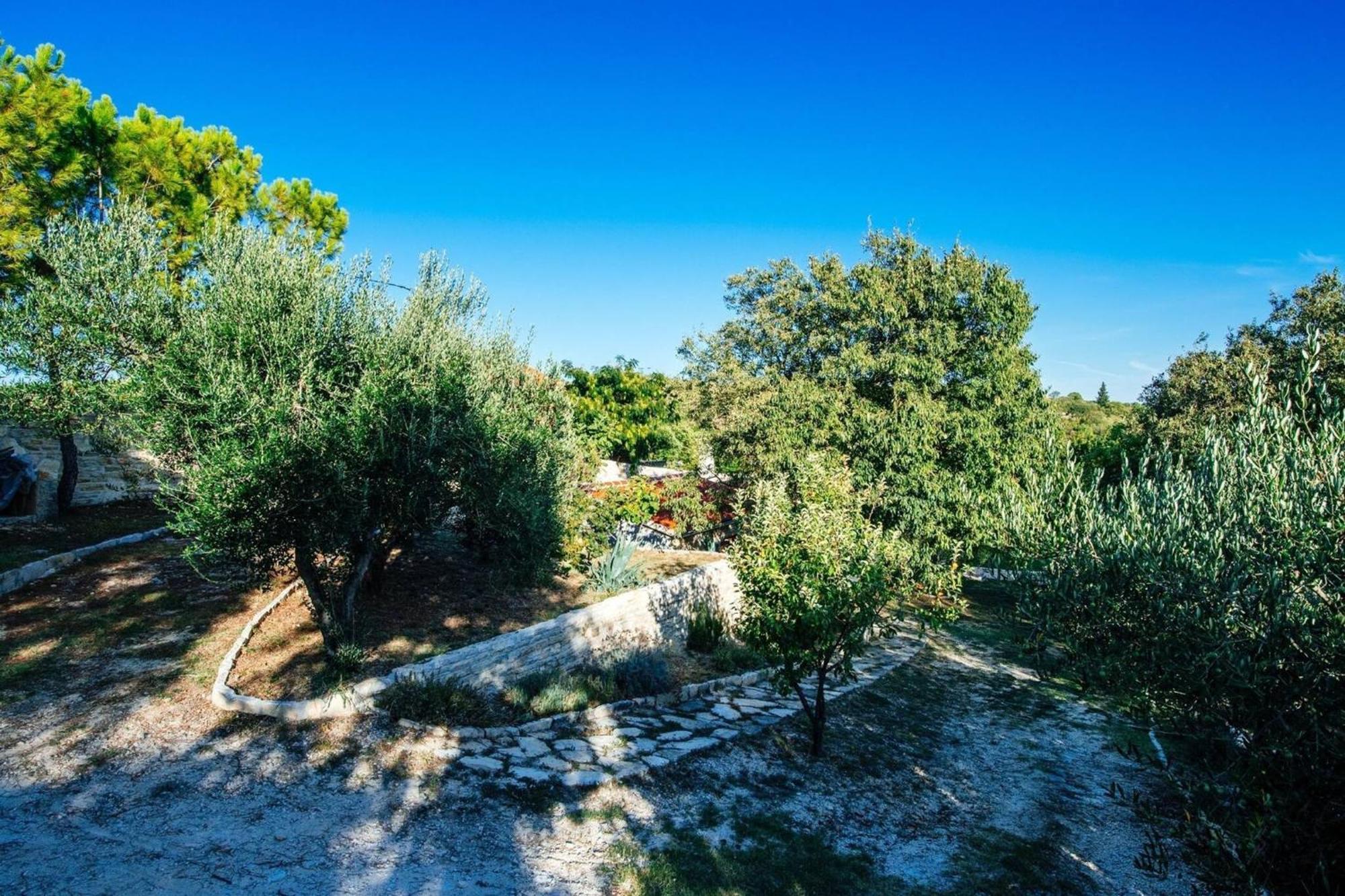 My Dalmatia - Holiday Home Korlat With Private Pool Benkovac Eksteriør bilde